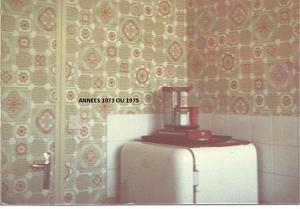 LE VIEUX FRIGO ARTHUR MARTIN (4)